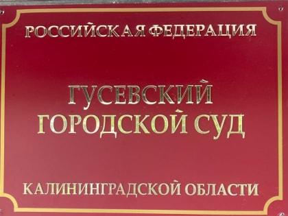 Жительницу Гусева осудили за избиение полицейских