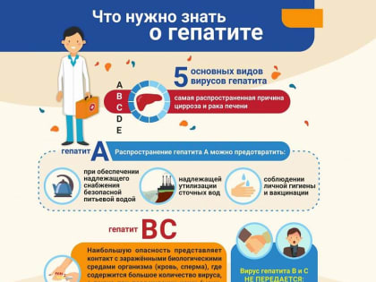 Все о гепатите
