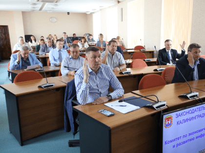 Бизнес-омбудсмен: больше всего калининградские предприниматели жалуются на таможенников и полицейских