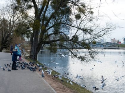 В воскресенье Калининград побил абсолютный температурный рекорд января (обновлено)
