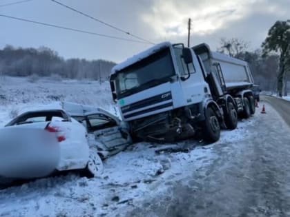 Под Гурьевском водитель «Лады» погиб после столкновения с грузовиком