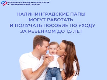 Почти триста калининградских отцов получают пособие по уходу за ребёнком