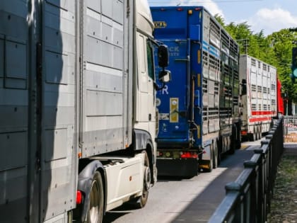 Калининградские автоперевозчики оценили свои потери от санкций Евросоюза в 2,3 млрд рублей