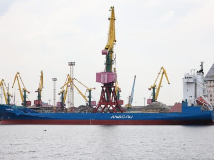 Эксперт: в Калининградской области образовался 40% профицит экспортного зерна
