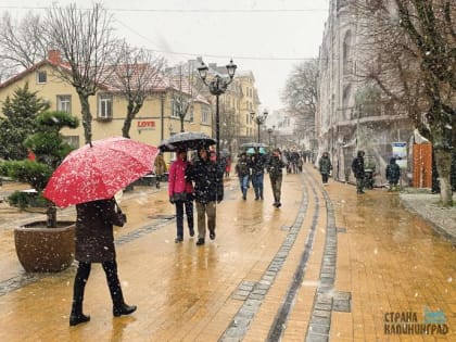 Выплаты на детей, пособие по безработице и пенсии