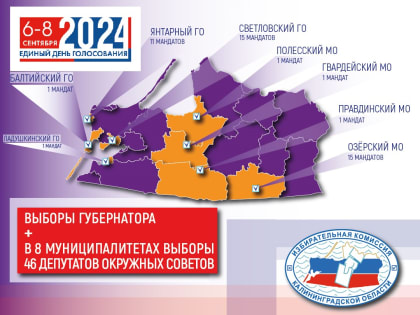 Какие выборы пройдут в Калининградской области в 2024 году?