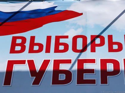 Региональные отделения партий определись с конкурентами Алиханова на выборах губернатора
