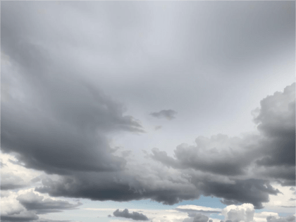 Преимущественно дождь: синоптики о погоде в Калининграде на предстоящей неделе