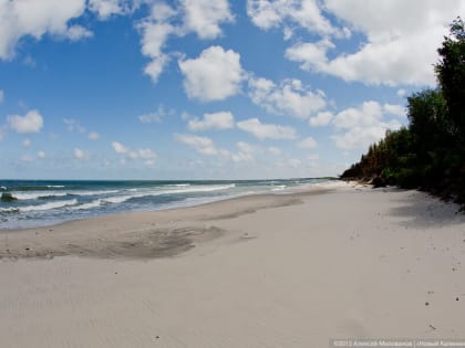 Калининградцам обещают теплые и сухие выходные с понижением температуры по ночам