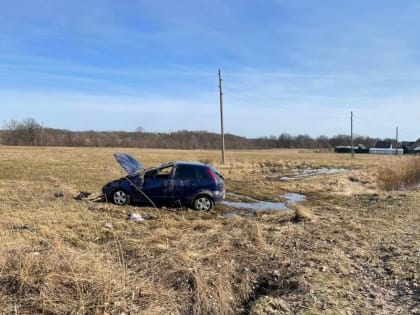Под Краснознаменском «Опель» съехал в кювет и перевернулся (фото)