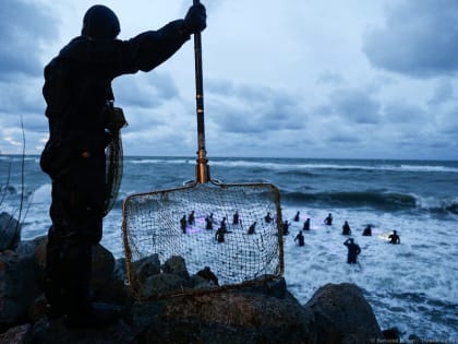 На берегу Балтийского моря туристка забирала янтарь из сачков старателей