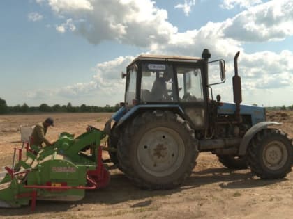 Примерно через 2 недели в Калининградской области закончится посевная кампания