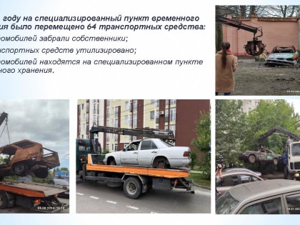 Около полутысячи «брошенок» за пять лет