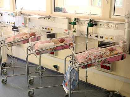 Увеличение числа получателей выплат для студенческих семей