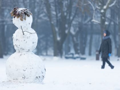 Врач посоветовал лепить снеговиков, чтобы сжечь калории и укрепить мышцы