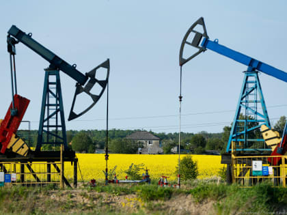 Польша и Германия подали заявки на поставку российской нефти