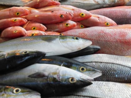 Алиханов объяснил причину высоких цен на рыбу в Калининградской области