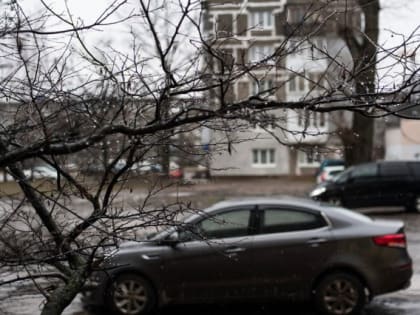 В понедельник в Калининградской области ожидается усиление ветра