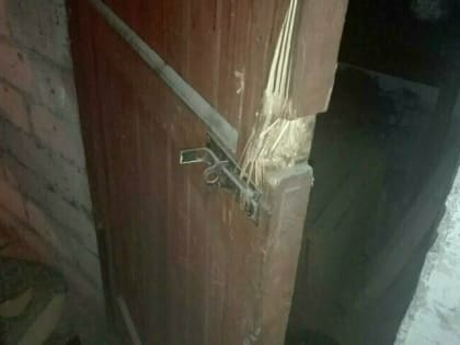 В Калининградской области подвалы жилых домов проверяют на предмет использования в качестве убежищ
