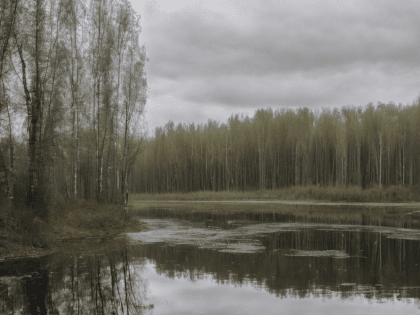 Солнечно и без осадков: о погоде в Калининграде на 9 мая