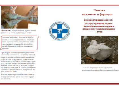 ОСТОРОЖНО ВПГП