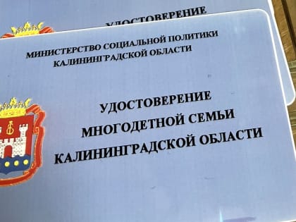 Многодетные семьи Калининградской области будут получать цифровые удостоверения