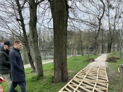 «Нестандартное решение»: на Верхнеозёрной устанавливают деревянный настил для сохранения корней деревьев (фото)