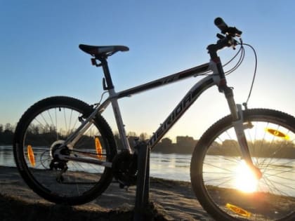 В Калининграде наладили производство велосипедов с карбоновыми рамами