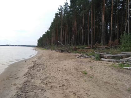 Таможенник крышевал контрабанду на российско-литовской границе