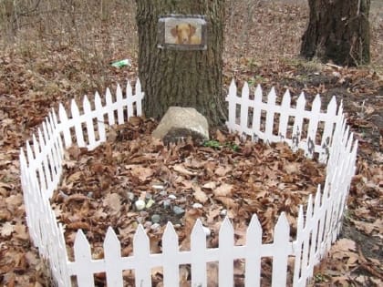 Проблема захоронения домашних животных
