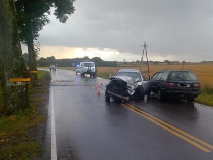 Под Нестеровом пьяный водитель без прав врезался в дерево (фото)