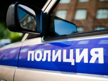 В Зеленоградском округе задержали мигрантов, промышлявших воровством