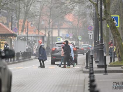 Каждый третий пострадавший пешеход – ребенок