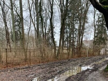 Спортивную реконструируют, когда «Водоканал» сократит размеры санитарной зоны Нескучного пруда — мэрия Калининграда