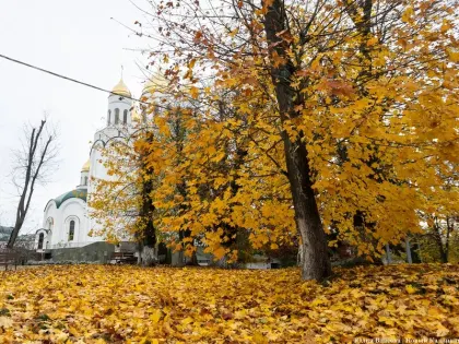 Новые инициативы по улучшению городской инфраструктуры