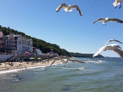 В Калининградской области с января введут туристический сбор