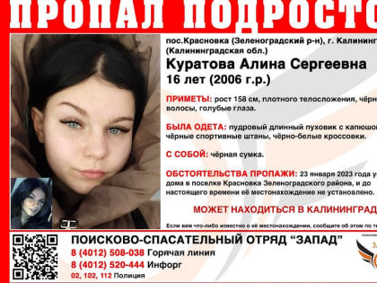 Родители и волонтеры региона разыскивают 16-летнюю девушку, пропавшую неделю назад