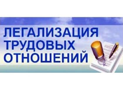 Рейдовое мероприятие для информационно-разъяснительной работы с работодателями и работниками