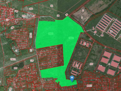 Подряд на озеленение городских лесов Калининграда получила компания из Нижнего Новгорода