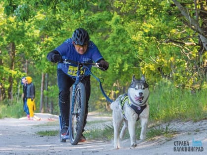 Минус 17 кг  и золотой значок ГТО