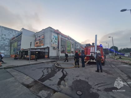 Из-за отложений в дымоходе загорелось кафе в Калининграде