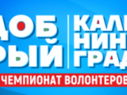 Чемпионат волонтеров «Добрый Калининград» пройдет в 2024 году