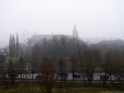 В последние дни новогодних каникул калининградцам обещают резкое повышение температуры