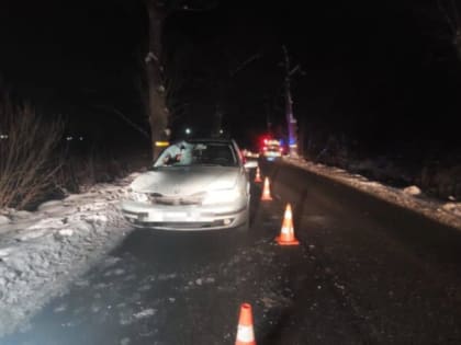 Возбуждено уголовное дело по факту ДТП со смертельным исходом в Гурьевском районе