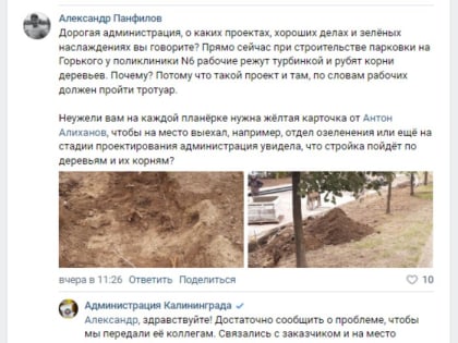 Возле поликлиники на Горького дорожники изрезали корни молодых лип, чиновники пообещали проверить аллею