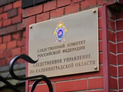 СК возбудил дело по статье «Убийство» после исчезновения в Калининграде 15-летней девочки