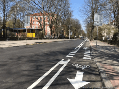 Прокуратура изобличила власти Калининграда в произвольном нанесении велосипедной разметки на 36 улицах