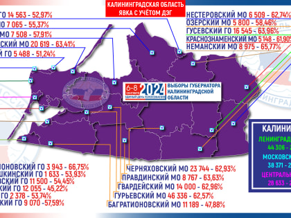 Выборы Губернатора Калининградской области: явка избирателей