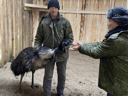 В парке Гурьевска закрывают мини-зоопарк. Часть животных переехала в Славский район