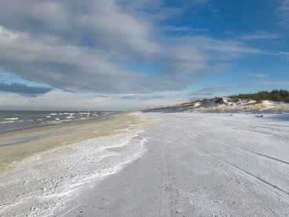 В Калининградской области на побережье планируют построить курорт с зоной дьюти-фри